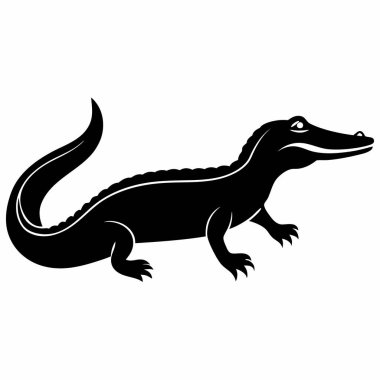 Amerikan Timsah Silueti, Sürüngen, Vahşi Yaşam, Bataklık Yaratığı, Siyah ve Beyaz Görüntü