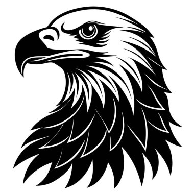 Majestic Bald Eagle Head, Black and White, Vector Art, Bird of Prey, American Symbol, Wildlife, Natu