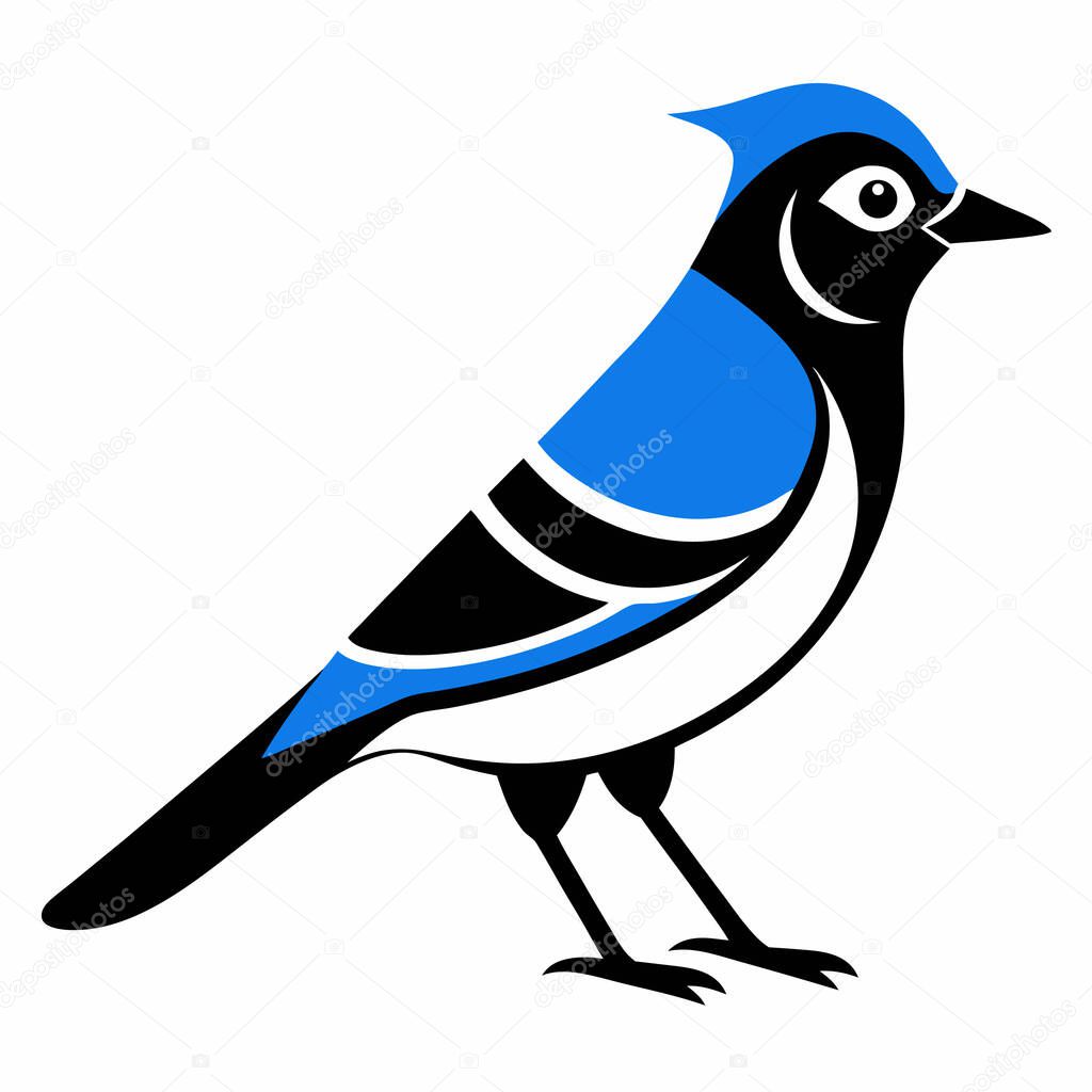 Stylized Blue Jay Bird Illustration, Avian Artwork, Nature Design