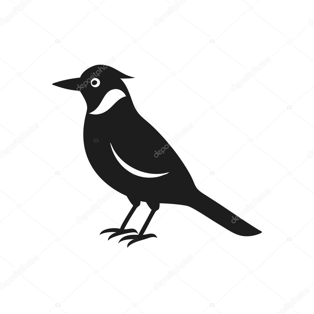 Black and White Stellers Jay Bird Silhouette Icon Illustration
