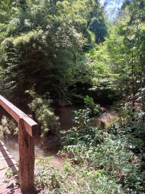 vista de ponte de madeira para riacho em vegetao natural