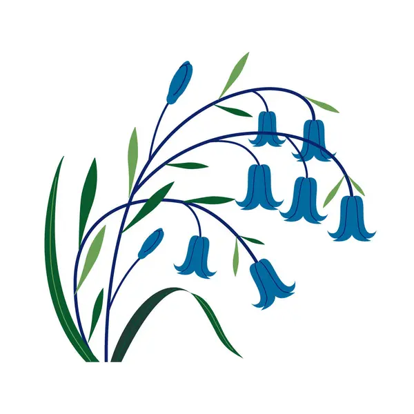 Çiçek açan mavi çanlar, beyaz arka planda güzel bir çiçek..