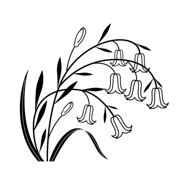 Çiçek açan mavi çanlar, beyaz arka planda güzel bir çiçek..