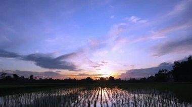 Şafak Şafağı Tarım Sahnesi