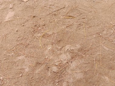 Kuru, tozlu toprağın karmaşık ve detaylı dokusu. İnşaat, bahçıvanlık veya çevre temaları ile ilgili projeler için mükemmel bir arka plan veya doku.