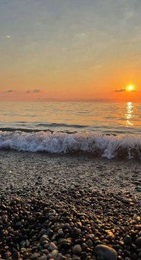 Gün batımına karşı güzel bir köpek. Yaz mevsiminde hoş bir gün batımı. Deniz dalgalarında parlak altın bir çizgi. Sakin ol.