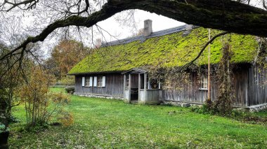 Çatıları yosun kaplı eski binalar sonbahar zamanında yeşille çevrili..