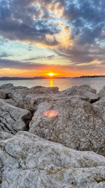 Gün batımına karşı güzel bir köpek. Yaz mevsiminde hoş bir gün batımı. Deniz dalgalarında parlak altın bir çizgi. Sakin ol.