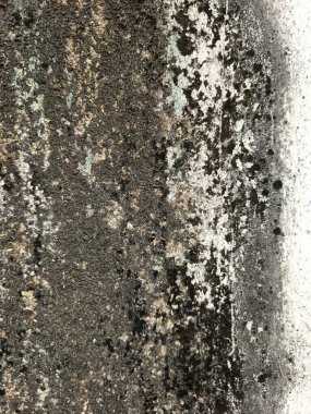 Duvar kirli siyah beyaz yaz 