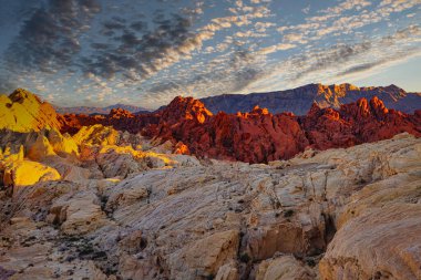 Valley of Fire, Nevadas, Las Vegas, Desert, Cactus, Big Sky, Red Rocks, The Wave