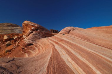 Valley of Fire, Nevadas, Las Vegas, Desert, Cactus, Big Sky, Red Rocks, The Wave