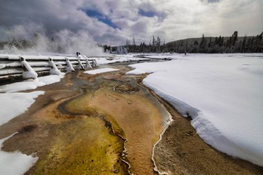 Yellowstone Ulusal Parkı, Wyoming Montana