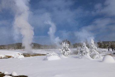 Yellowstone Ulusal Parkı, Wyoming Montana