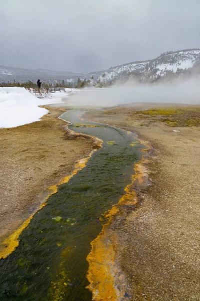Park Narodowy Yellowstone Wyoming Montana — Zdjęcie stockowe