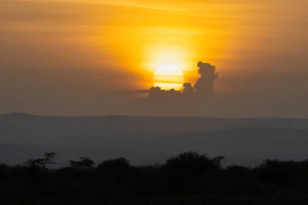 Sunset Riserva Privata Loisaba Elewana Kenya — Foto Stock