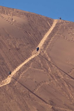 Deadvlei, Sossusvlei Moun Namib Naukluft Ulusal Parkı, Namibi