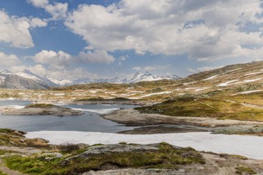 Murmeltierpark Grimselpass - En Yüksek Nokta Grimselpass - İsviçre