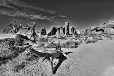 Görüntüler veya Kemerler, Kanyonlar, Antilop Kanyonu, Utah, Moab, Kanyonlar, Kemerler, Ulusal Park, Günbatımı ve Gündoğumu