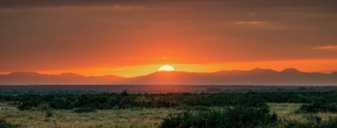 Sunset Panorama Amboseli Ulusal Parkı, Kenya