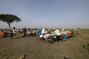 A group of people are enjoying a picnic-style meal outdoors.  Several tables laden with food and drinks are set up in a grassy area, likely a safari or outdoor excursion location.  Tourists and guides are seated and eating, while others are preparing clipart