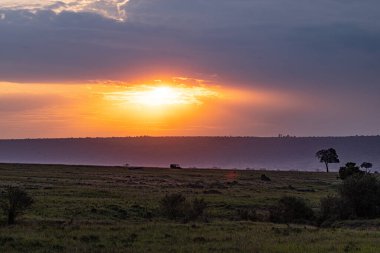 Güneş batarken bir safari aracı Afrika savanasında ilerliyor, gökyüzünü turuncu ve mor renkli renklerle boyuyor. Turistler büyük ihtimalle alacakaranlıkta vahşi yaşama tanıklık etmek için mükemmel bir yer arıyorlar..