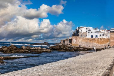 Essaouira, Fas 'ta deniz kenarında güneşli bir gün. Martılar tepemizde uçar ve kayalıklarda ve kıyılarda dinlenir. İnsanlar sahil boyunca ve suyun kenarında uzanan antik şehir duvarları boyunca geziniyorlar. Sahne doğanın bir karışımını gösteriyor.