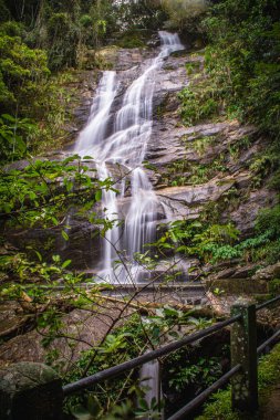 Tuanay Şelalesi Tijuca Ormanı Rio de Janeiro, Brezilya