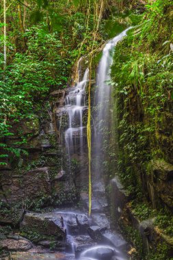Das Almas Şelalesi Tijuca Ormanı Rio de Janeiro, Brezilya
