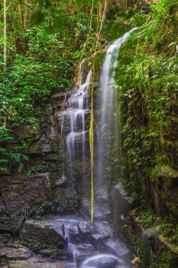 Das Almas Şelalesi Tijuca Ormanı Rio de Janeiro, Brezilya