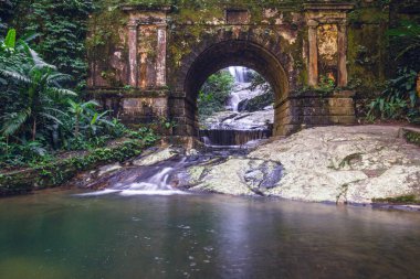 Tuanay Şelalesi yakınlarındaki Tijuca Ormanı Rio de Janeiro, Brezilya