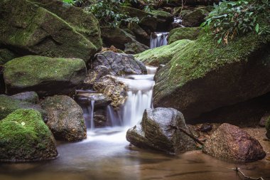 Rio de Janeiro, Brezilya - Tijuca Ormanı 'nda dere