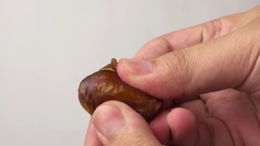 Meyvenin ikiye bölündüğü yakın plan bir fotoğraf. Yapışkan, şekerimsi, parlak kahverengi iç yüzünü gözler önüne seriyor. Dış deri kahverengidir, temiz beyaz arka planda güzel bir tezat oluşturur.