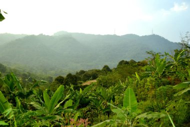 Tayland 'ın kuzeyindeki dağların manzarası
