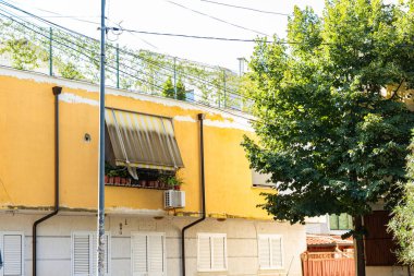 Baharda üniversite kampüsü.