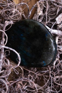 Bir mum sıcak bir ışık yayar ve etrafındaki kurumuş dal ve dallara ışık saçar. Ön planda parlak, yeşilimsi bir taş ya da kristal doğal elementler arasında yer alır. Sahnenin mistik bir yanı var.