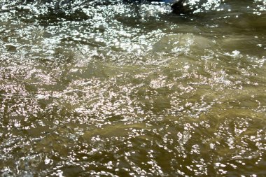 Güneş ışığı hareket eden suyu yansıtır, parlak, parıltılı röflelerden oluşan dinamik bir şablon yaratır. Yüzey, hafif bir ışık ve gölge etkileşimiyle dalgalı bir doku sergiliyor.. 