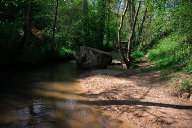Berrak bir dağ nehri gür yeşillik ve uzun ağaçlarla karakterize edilmiş sık bir ormanın içinden akar. Huzurlu ortam el değmemiş, el değmemiş bir ortam olduğunu gösteriyor..