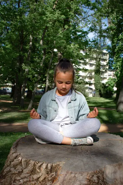 Huzurlu genç kız, huzurlu bir parktaki ağaç kütüğünün tepesinde Lotus pozisyonunda meditasyon yapıyor. Huzuru, odaklanmayı ve doğayla bağlantıyı yakalar. Farkındalık ve refah temaları için ideal