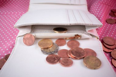 Zarif beyaz cüzdan, etrafı avro sikkeleriyle çevrili, biriken servetin ve akıllı finansal tercihlerin tatmin edici hissini uyandırıyor. Kişisel finans ve şık bütçe içeriği için ideal
