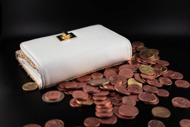 Avro sikkeleriyle dolup taşan zarif beyaz cüzdan, tasarruf sevincini ve akıllı para yönetiminin somut sonuçlarını net bir şekilde yansıtıyor. Kişisel finans blogları, bankacılık reklamları ve e-ticaret için ideal