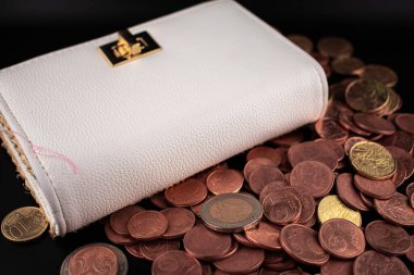 Avro sikkeleriyle dolup taşan zarif beyaz cüzdan, tasarruf sevincini ve akıllı para yönetiminin somut sonuçlarını net bir şekilde yansıtıyor. Kişisel finans blogları, bankacılık reklamları ve e-ticaret için ideal