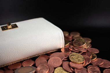 Avro sikkeleriyle dolup taşan zarif beyaz cüzdan, tasarruf sevincini ve akıllı para yönetiminin somut sonuçlarını net bir şekilde yansıtıyor. Kişisel finans blogları, bankacılık reklamları ve e-ticaret için ideal