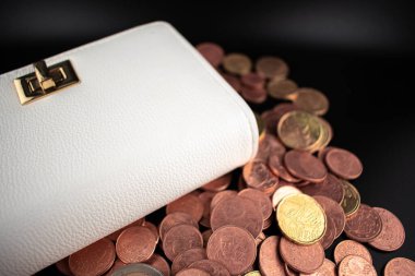 Avro sikkeleriyle dolup taşan zarif beyaz cüzdan, tasarruf sevincini ve akıllı para yönetiminin somut sonuçlarını net bir şekilde yansıtıyor. Kişisel finans blogları, bankacılık reklamları ve e-ticaret için ideal