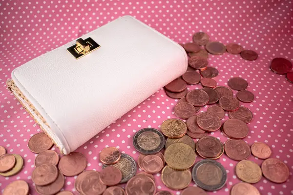 Zarif beyaz cüzdan, etrafı avro sikkeleriyle çevrili, biriken servetin ve akıllı finansal tercihlerin tatmin edici hissini uyandırıyor. Kişisel finans ve şık bütçe içeriği için ideal