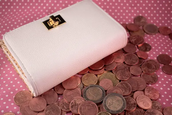 Zarif beyaz cüzdan, etrafı avro sikkeleriyle çevrili, biriken servetin ve akıllı finansal tercihlerin tatmin edici hissini uyandırıyor. Kişisel finans ve şık bütçe içeriği için ideal