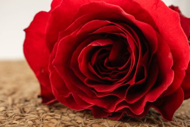 Bu büyüleyici yakın çekim canlı kırmızı bir gülün karmaşık katmanlarını, zamansız zarafet ve romantik cazibeyi vurgular. Aşk teması, çiçek aranjmanı ya da sofistike markalaşma için mükemmel.