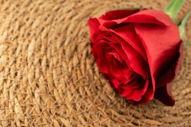 Bu büyüleyici yakın çekim canlı kırmızı bir gülün karmaşık katmanlarını, zamansız zarafet ve romantik cazibeyi vurgular. Aşk teması, çiçek aranjmanı ya da sofistike markalaşma için mükemmel.