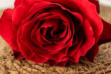 Bu büyüleyici yakın çekim canlı kırmızı bir gülün karmaşık katmanlarını, zamansız zarafet ve romantik cazibeyi vurgular. Aşk teması, çiçek aranjmanı ya da sofistike markalaşma için mükemmel.