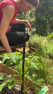 Canlı kırmızı bluzlu bir kadın bahçesiyle ilgileniyor, yabani otlara odaklanmış. Bu aktif çekim evde bakım, bahçıvanlık ve boş zamanı temsil ediyor.