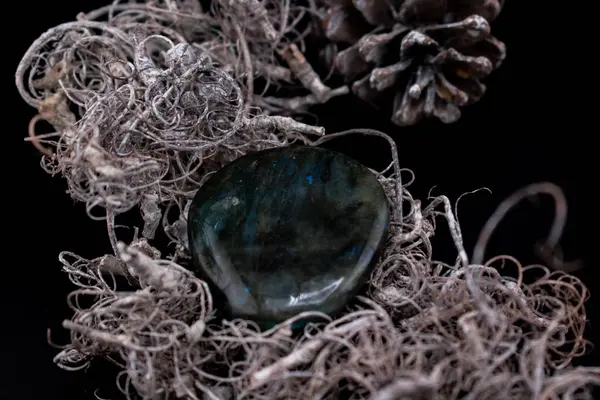 Parlak labradorit bir taş mavi-yeşil yanardöner bir çam kozalağının yanındaki İspanyol yosunlarına dayanır. Topraksı, doğadan esinlenilmiş kompozisyon refah, meditasyon ve kristal iyileştirici temalar için mükemmel.